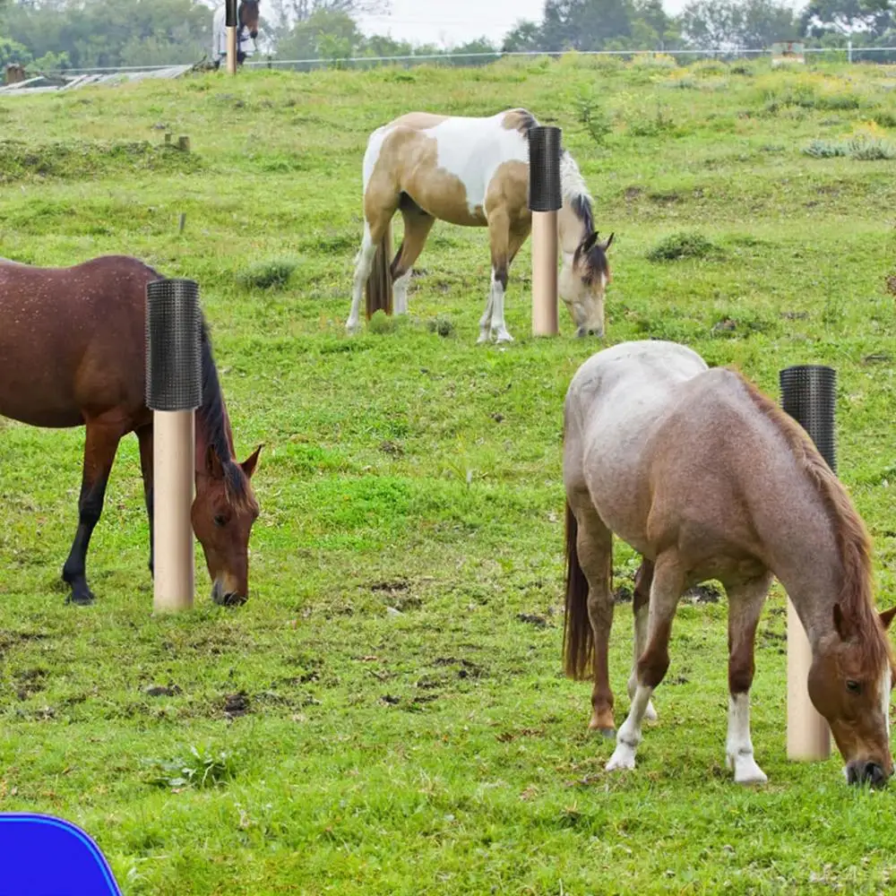 Farm Animal Horse Scratcher Anti-Itching Farm Animal Massage Pad Horse Cow Scratcher for Countertop Home Coffee Bars
Farm Animal Horse Scratcher Anti-Itching Farm Animal Massage Pad Horse Cow Scratcher for Countertop Home Coffee Bars