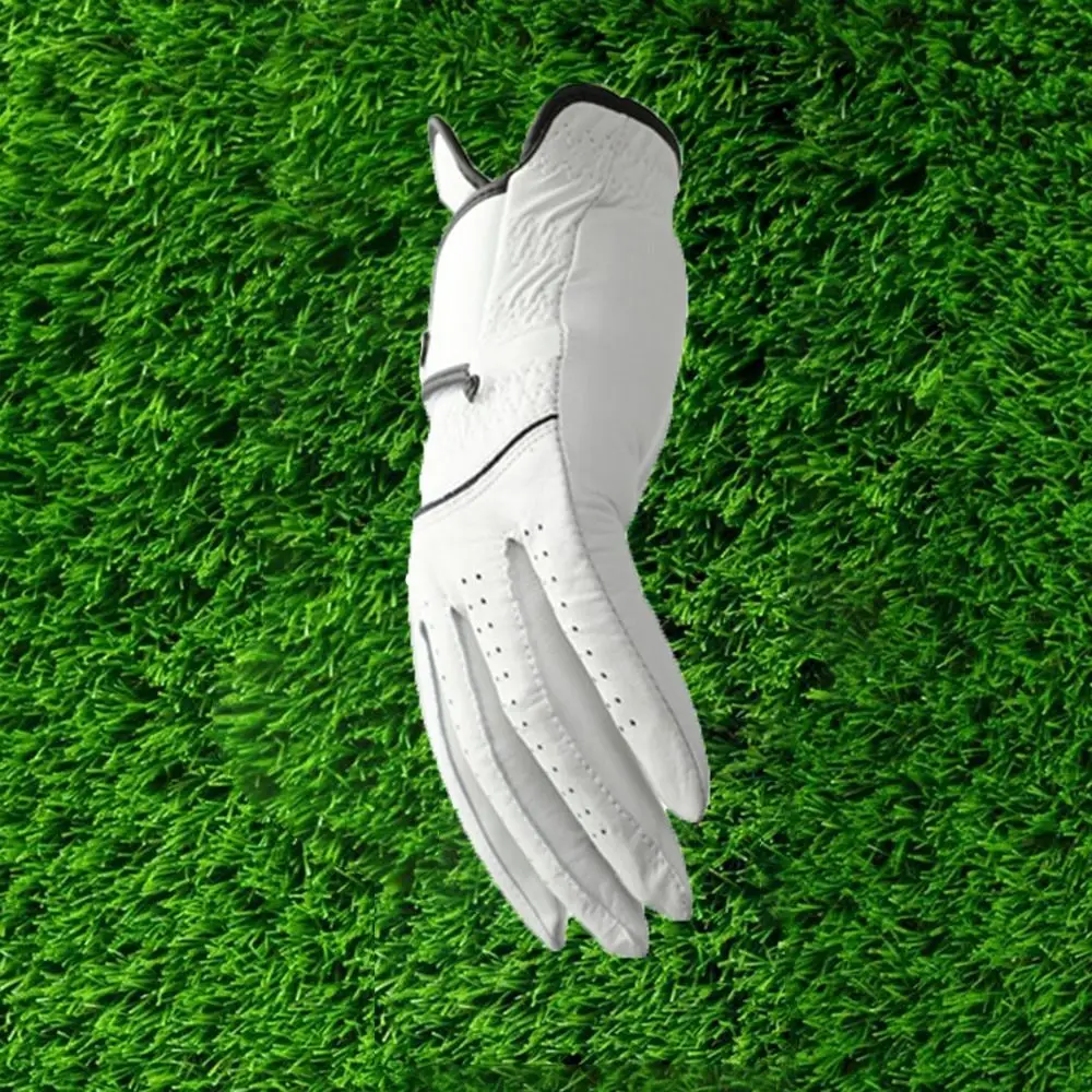 Sheepskin Men's Sports Golf Glove White Single Left Hand Leather Golfing Glove Maximum Grip Slip-Resistant Golf Accessories Male
Sheepskin Men's Sports Golf Glove White Single Left Hand Leather Golfing Glove Maximum Grip Slip-Resistant Golf Accessories Male