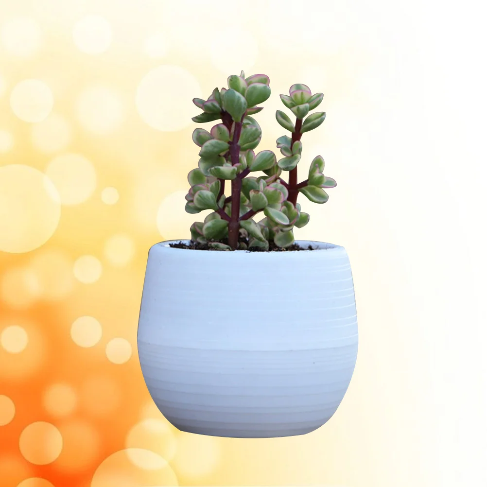 Mini Round Resin Flower Pot Solid Color Planter For Succulents Office Decor Windowsill Table Decoration
Mini Round Resin Flower Pot Solid Color Planter For Succulents Office Decor Windowsill Table Decoration