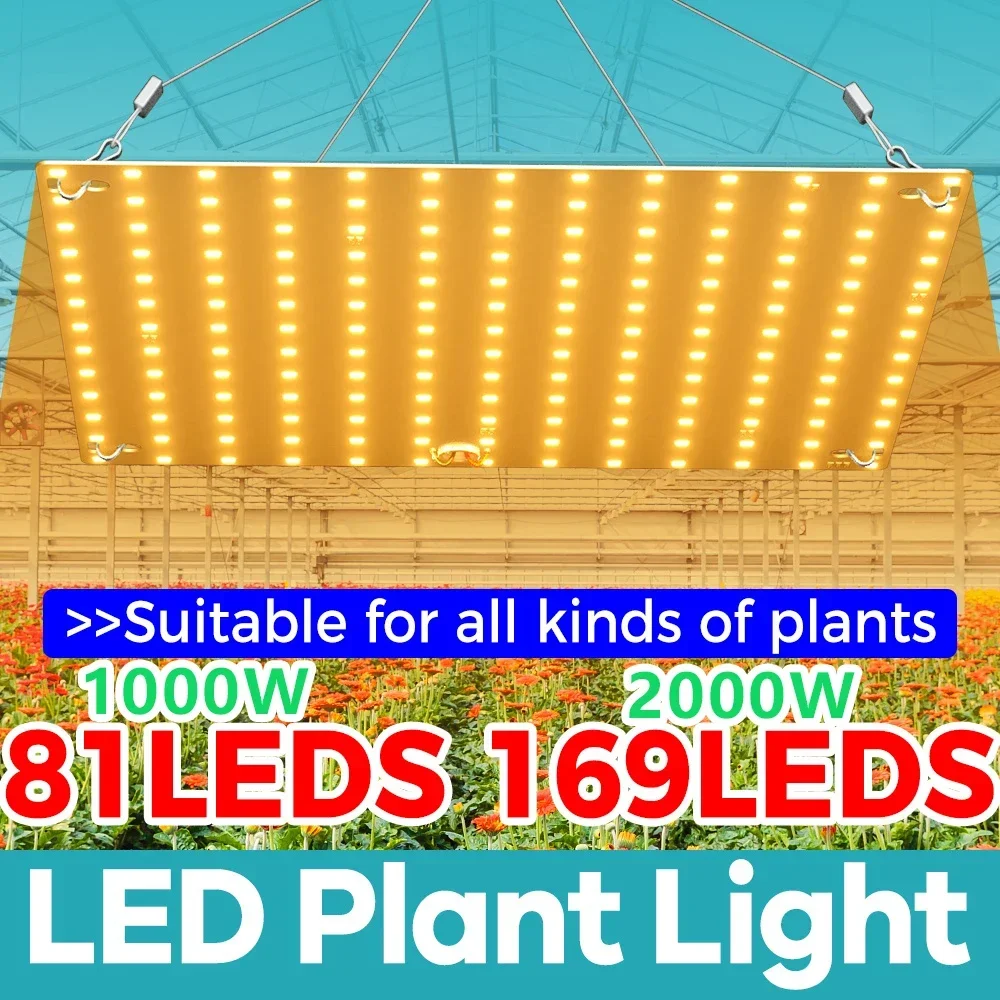 LED Plant Grow Fill Light 1000W Full Spectrum Quantum Board Panel Lamp Hydroponic Growth Box Greenhouse Lighting 110V/220V
LED Plant Grow Fill Light 1000W Full Spectrum Quantum Board Panel Lamp Hydroponic Growth Box Greenhouse Lighting 110V/220V