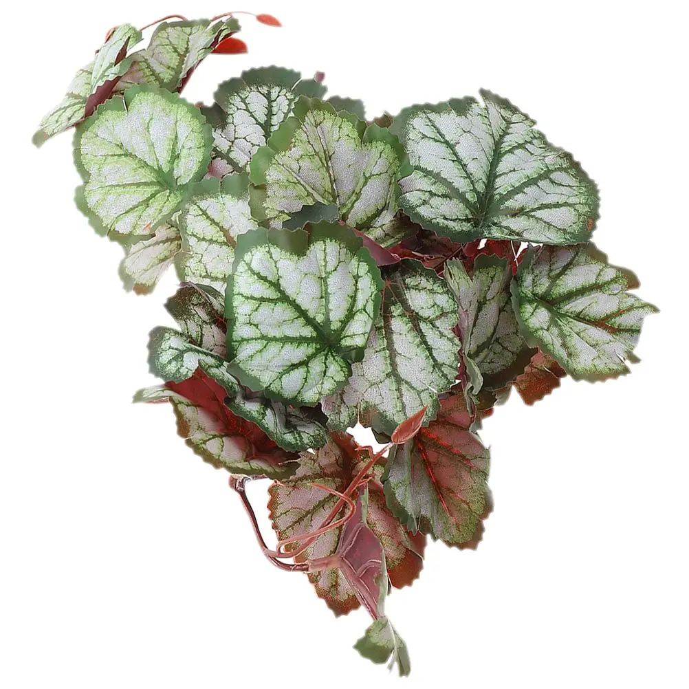 Artificial Hanging Plants Realistic Reptile Decor Terrarium Supplies Suction Cups Easy Clean Pet Habitat Plant Simulated Leaf
Artificial Hanging Plants Realistic Reptile Decor Terrarium Supplies Suction Cups Easy Clean Pet Habitat Plant Simulated Leaf