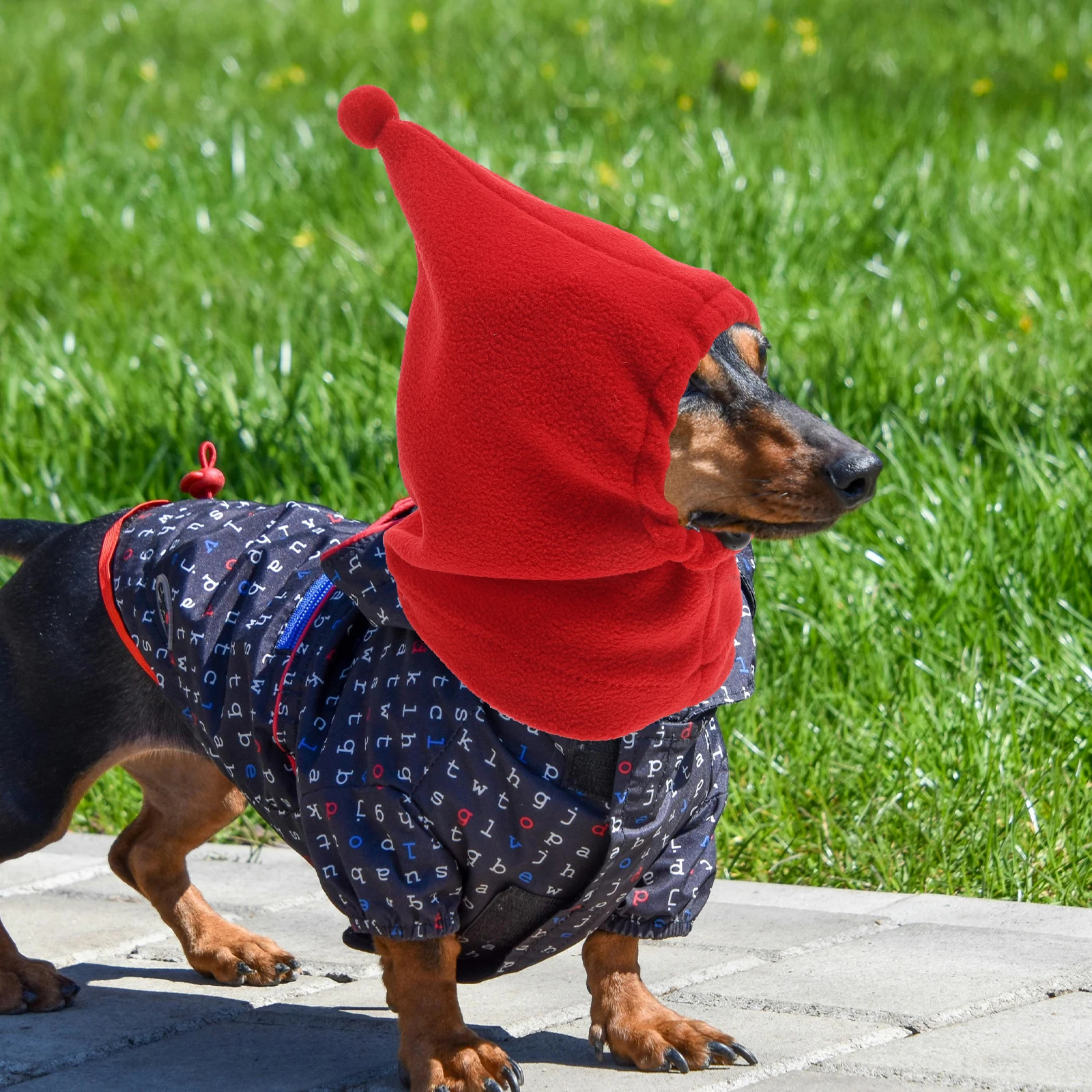 Pet Hat Dog Warm Cat Christmas Outfit Santa Puppy Balaclava Red Ear Muffs Winter Cozy Adjustable Knit Hoodie Cover Small Large
Pet Hat Dog Warm Cat Christmas Outfit Santa Puppy Balaclava Red Ear Muffs Winter Cozy Adjustable Knit Hoodie Cover Small Large