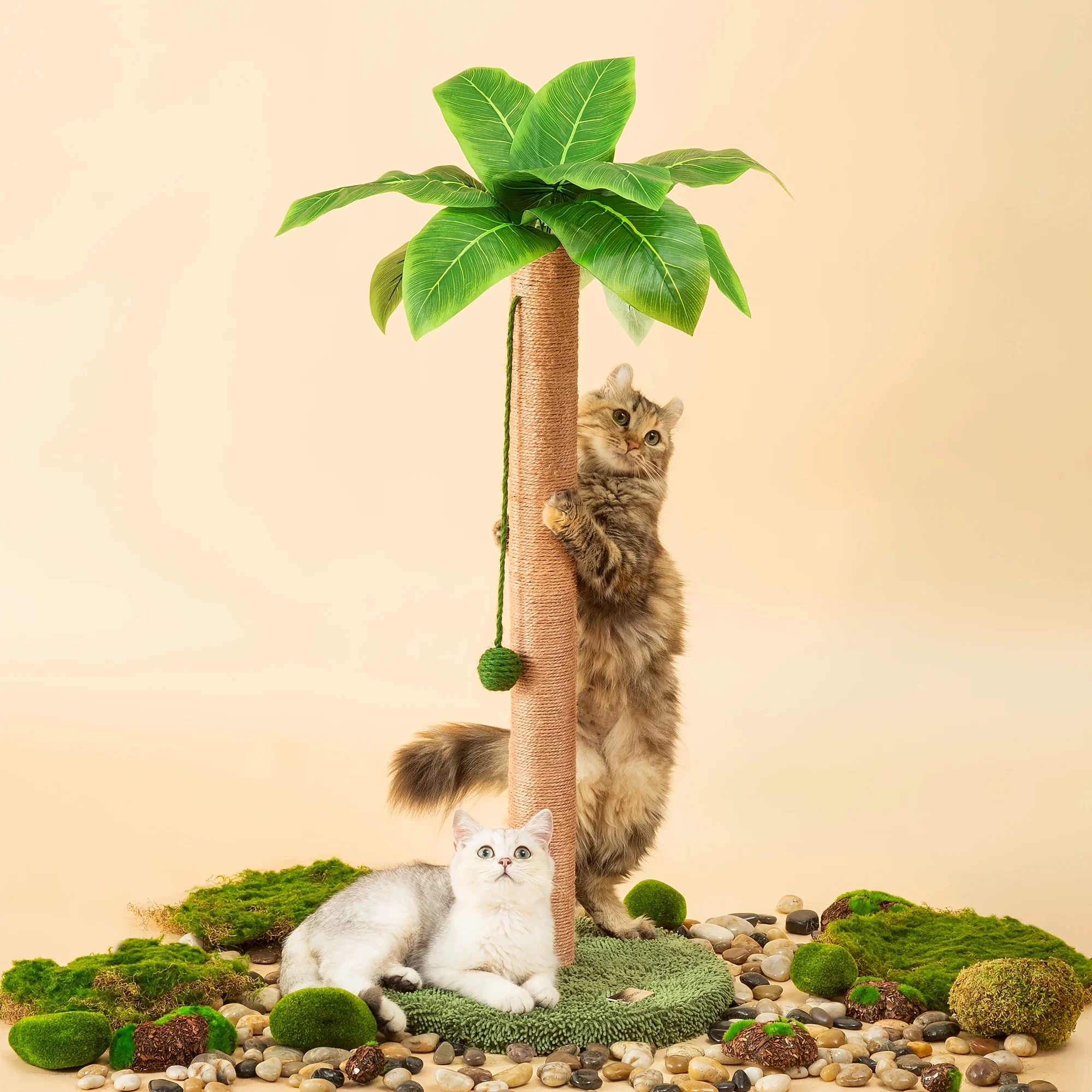 Meowoou Cat Scratching Post Featuring a Hanging Ball, 33 Inches High Adorable Cat Toys for Indoor Use with Sisal Rope, Palm Deco
Meowoou Cat Scratching Post Featuring a Hanging Ball, 33 Inches High Adorable Cat Toys for Indoor Use with Sisal Rope, Palm Deco