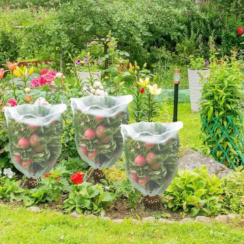 Bird Netting For Garden Protection Tomato Fruit Trees Protective Cover Bird Mesh Plant Bags Blueberry Netting Cover For
Bird Netting For Garden Protection Tomato Fruit Trees Protective Cover Bird Mesh Plant Bags Blueberry Netting Cover For