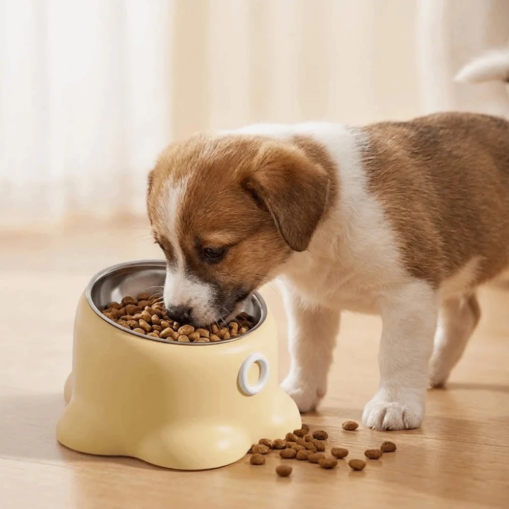Anti-Slip Neck Protector Cat Bowls Anti-Tip Elevated Design Dog Food Bowl Tilted Mouth Anti-Knock Cat Water Bowl Pet Drinking
Anti-Slip Neck Protector Cat Bowls Anti-Tip Elevated Design Dog Food Bowl Tilted Mouth Anti-Knock Cat Water Bowl Pet Drinking