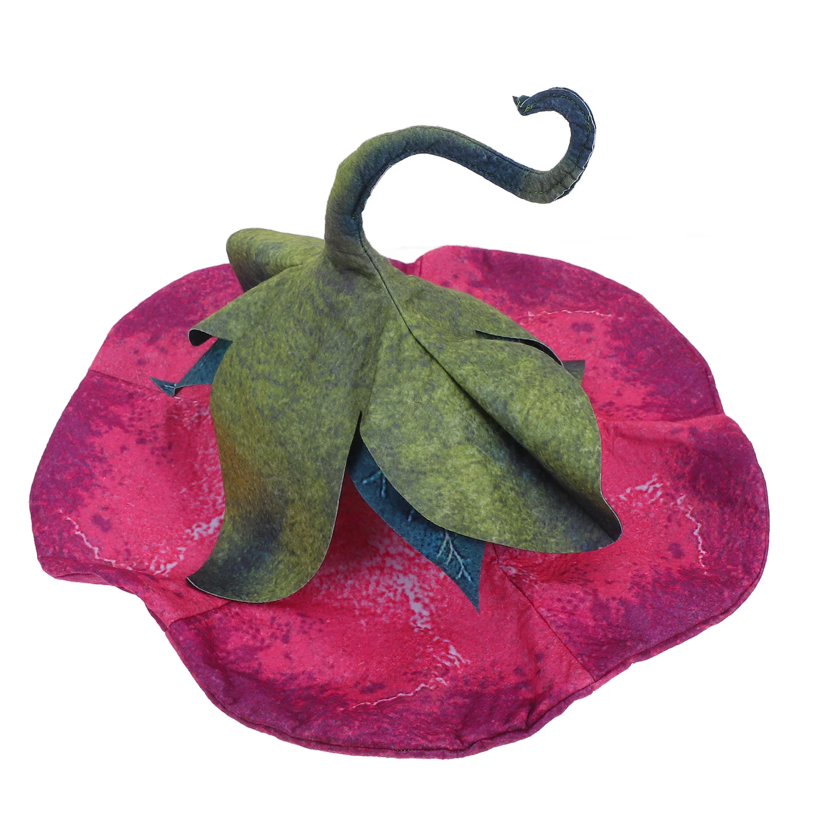 Morning Glory Flower Witch Hat Lightweight Felt Party Halloween Hats For Women Stage Props Accessories Women Top Hats
Morning Glory Flower Witch Hat Lightweight Felt Party Halloween Hats For Women Stage Props Accessories Women Top Hats