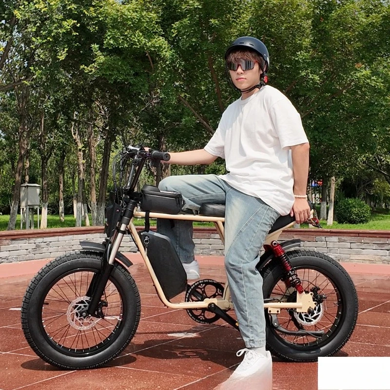 20-Inch American version of retro electric power mountain bike carbon steel double soft tail frame off-road motorcycle
20-Inch American version of retro electric power mountain bike carbon steel double soft tail frame off-road motorcycle