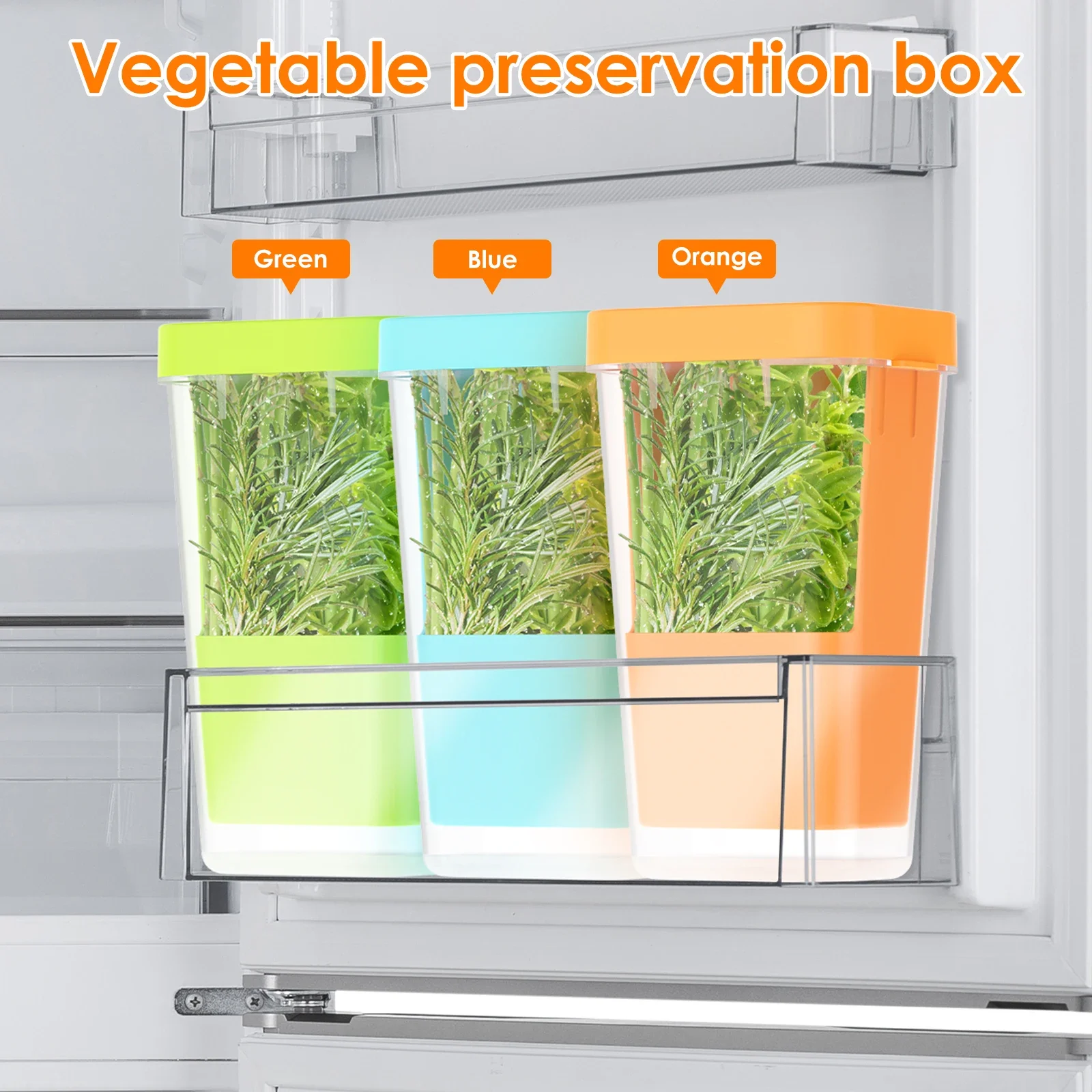Herb Saver for Refrigerator Vegetable Preserving Bottle Fresh Herb Keeper Pod Cilantro Saver Container for Kitchen Storing Tool
Herb Saver for Refrigerator Vegetable Preserving Bottle Fresh Herb Keeper Pod Cilantro Saver Container for Kitchen Storing Tool