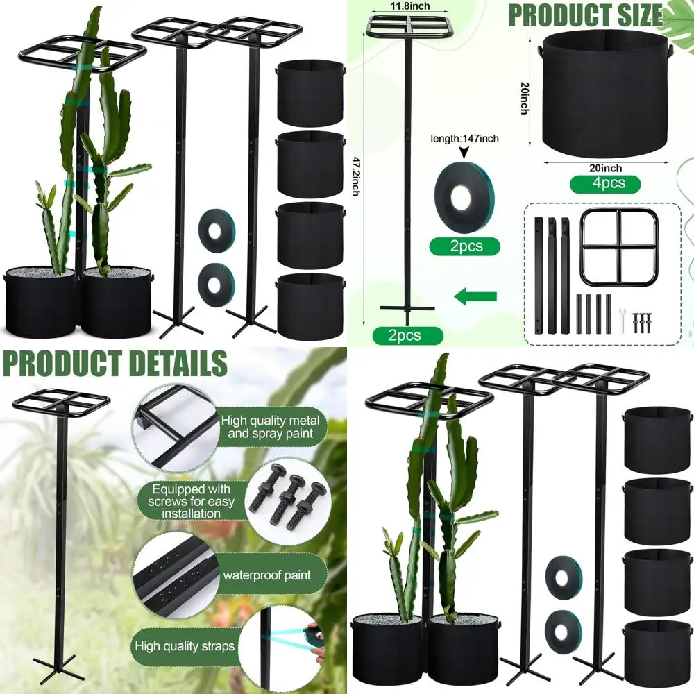 Набор из 8 опор для фруктов дракона 12x48 с мешками для выращивания 20 галлонов и эластичными стяжками для вертикального садоводства
Набор из 8 опор для фруктов дракона 12x48 с мешками для выращивания 20 галлонов и эластичными стяжками для вертикального садоводства