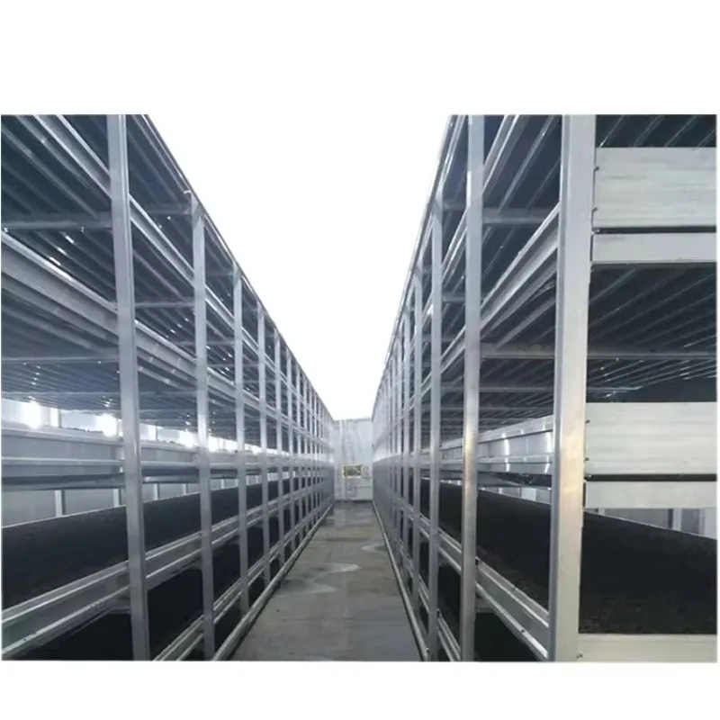 White Mushroom Growing Shelves Button Mushroom Cultivation Racks
White Mushroom Growing Shelves Button Mushroom Cultivation Racks