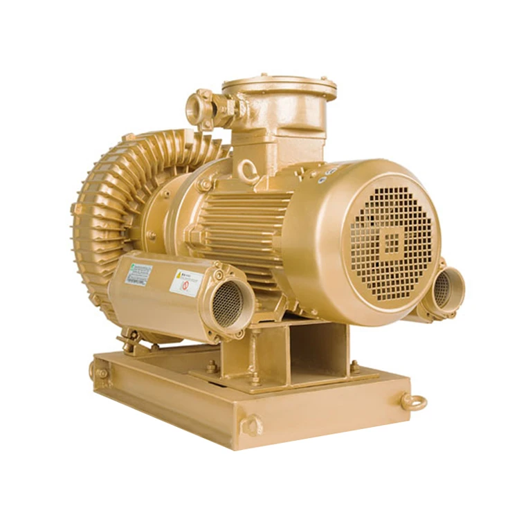 ATEX approved Goorui explosion proof side channel blowers and vacuum pumps with frequency conversion
ATEX approved Goorui explosion proof side channel blowers and vacuum pumps with frequency conversion