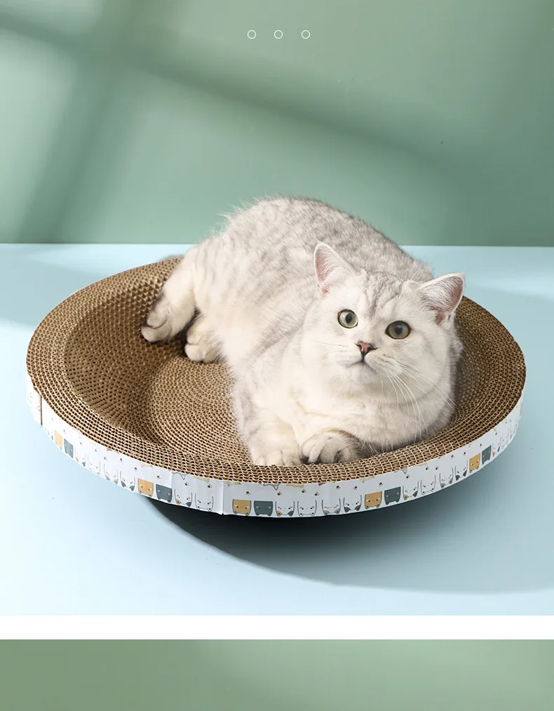 Durable Round Cat Scratching Board Wear-Resistant Cat Scratcher Mat Bowl Shape Cat Scratching Board Toy for Stretching Body Home
Durable Round Cat Scratching Board Wear-Resistant Cat Scratcher Mat Bowl Shape Cat Scratching Board Toy for Stretching Body Home