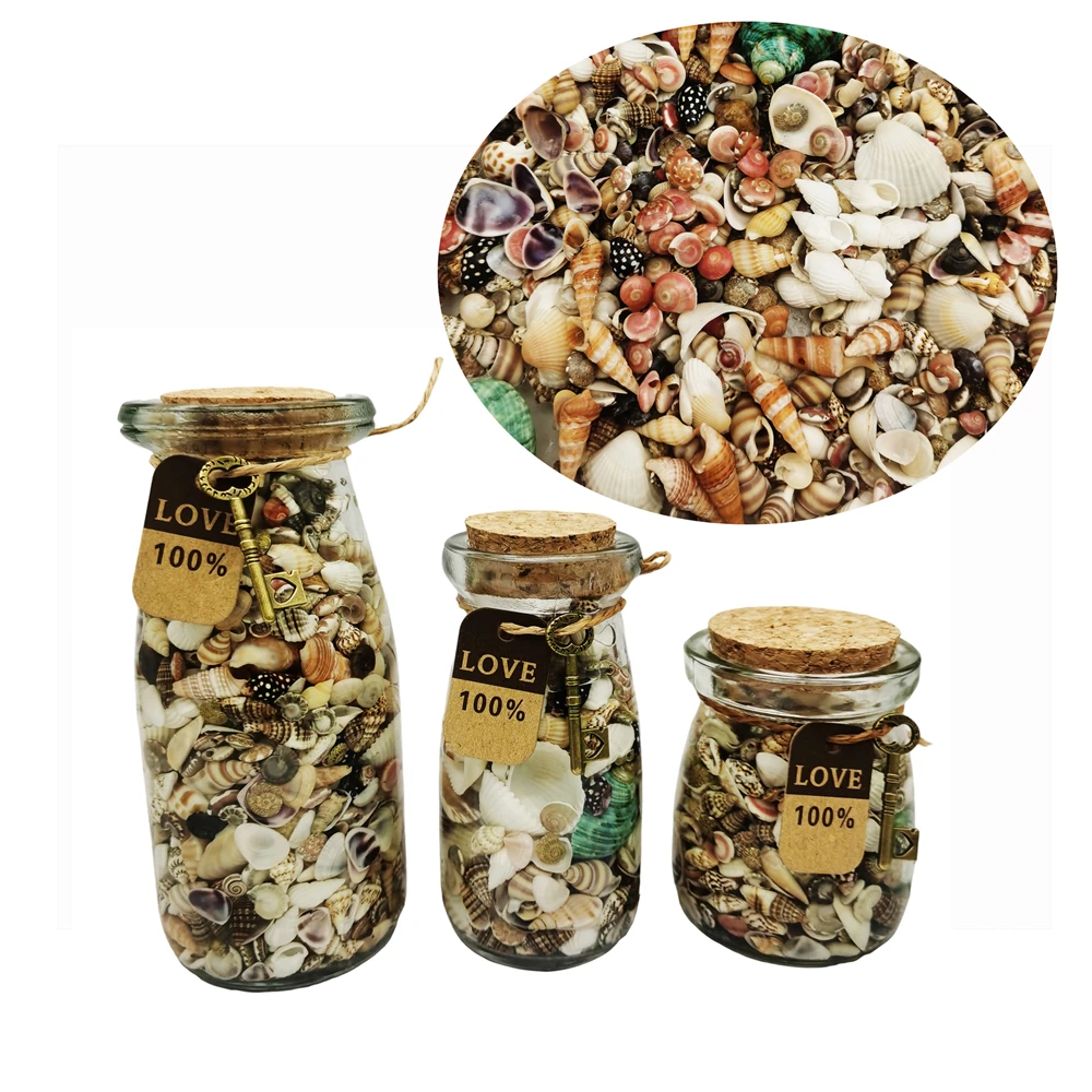 1 Piece Glass Wide Mouth Wishing Bottle Jar with Conch & Scallop & Clam & Cockle Shells, Sealed with Cork and Fitted with String
1 Piece Glass Wide Mouth Wishing Bottle Jar with Conch & Scallop & Clam & Cockle Shells, Sealed with Cork and Fitted with String
