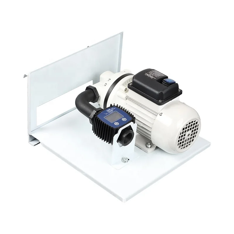 AdBlue Transfer Pump 220V AC 12v24v DC Portable Electric Urea Pump Set IBC Kit Pump for DEF
AdBlue Transfer Pump 220V AC 12v24v DC Portable Electric Urea Pump Set IBC Kit Pump for DEF
