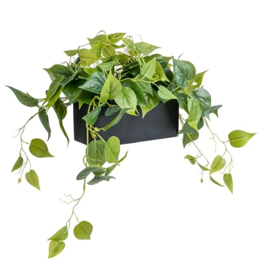 Vibrant Lifelike Artificial Plant Pothos Leafy Vine Greenery in Black Concrete Rectangular Planter Box
Vibrant Lifelike Artificial Plant Pothos Leafy Vine Greenery in Black Concrete Rectangular Planter Box
