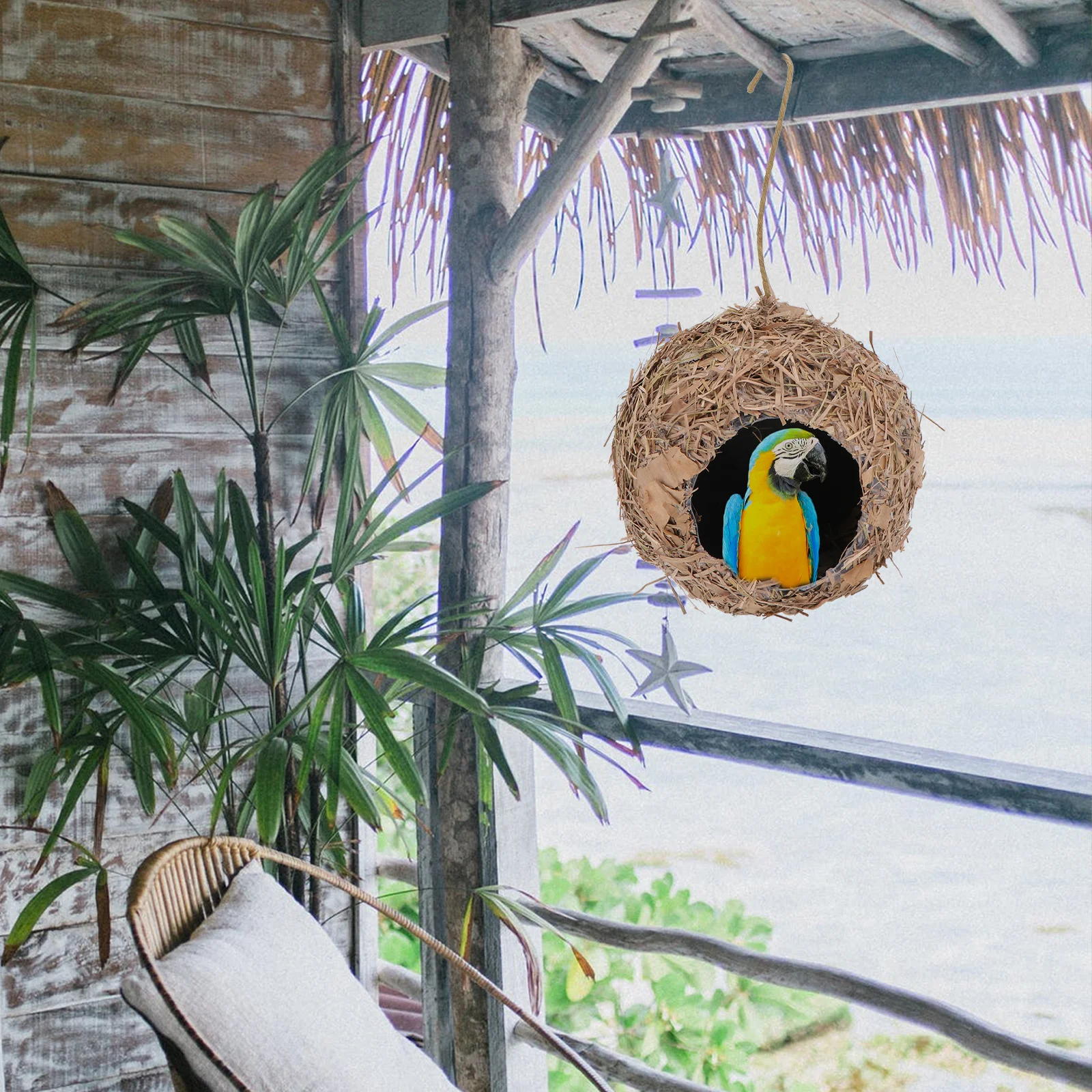 1Pcs Hanging Bird Natural Straw Woven Nest for Finches Bluebirds Sparrows Outdoor Indoor Garden Decoration Winter Proof
1Pcs Hanging Bird Natural Straw Woven Nest for Finches Bluebirds Sparrows Outdoor Indoor Garden Decoration Winter Proof