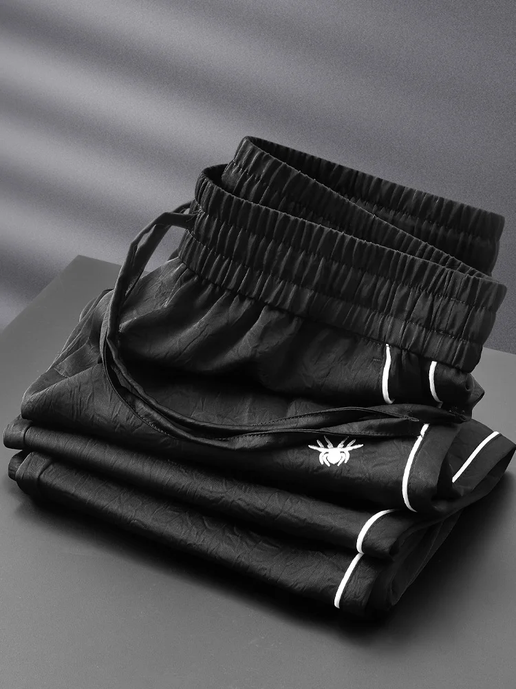 Summer Smooth Ice Silk Acetate Men's Casual Pants Loose Straight Leg Anti-Wrinkle Spor Comfortable Long Trousers
Summer Smooth Ice Silk Acetate Men's Casual Pants Loose Straight Leg Anti-Wrinkle Spor Comfortable Long Trousers