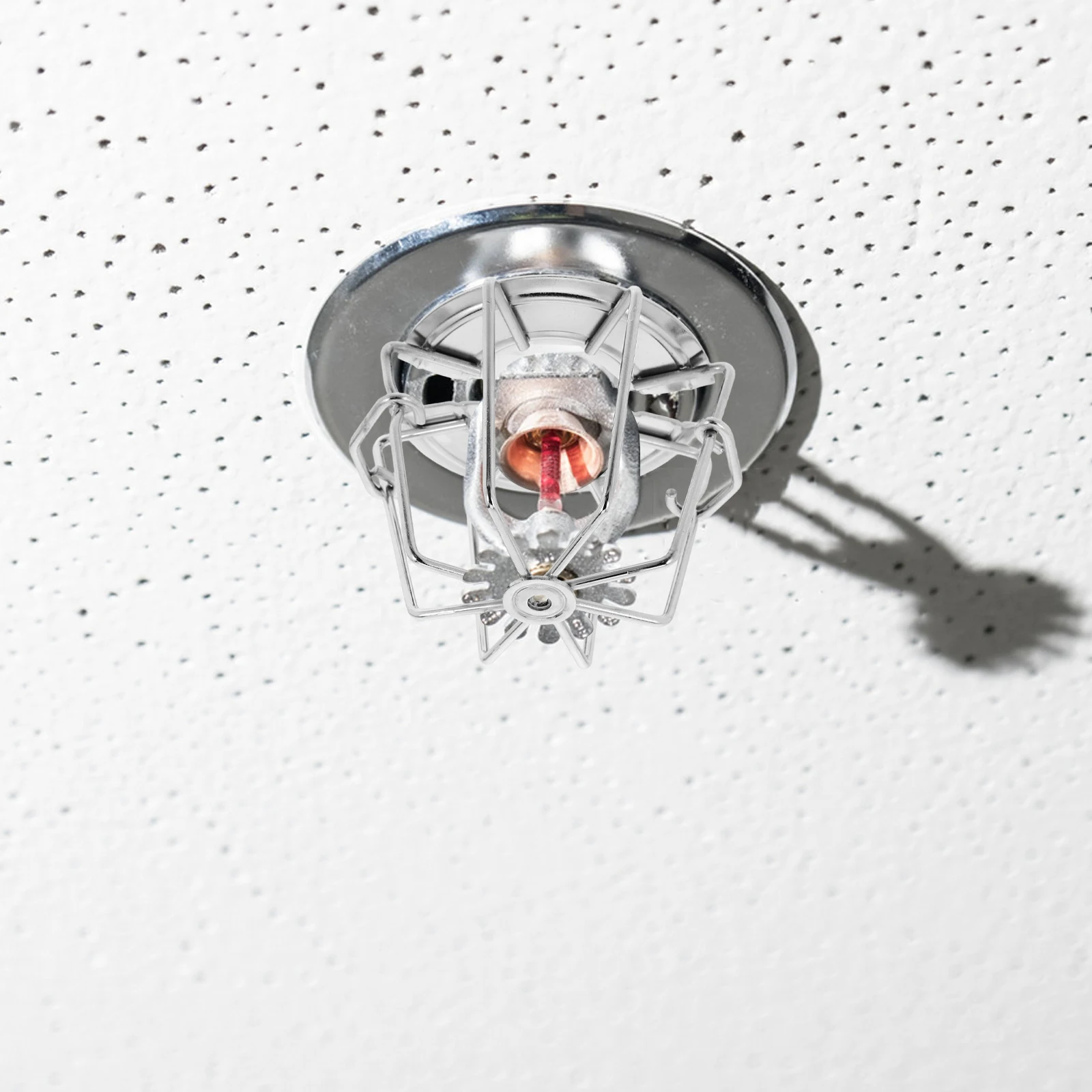 Fire Sprinkler Head Protector Iron Guard Shield Dustproof Debris Proof Cage For Upright Pendent Sidewall Flush Mount
Fire Sprinkler Head Protector Iron Guard Shield Dustproof Debris Proof Cage For Upright Pendent Sidewall Flush Mount