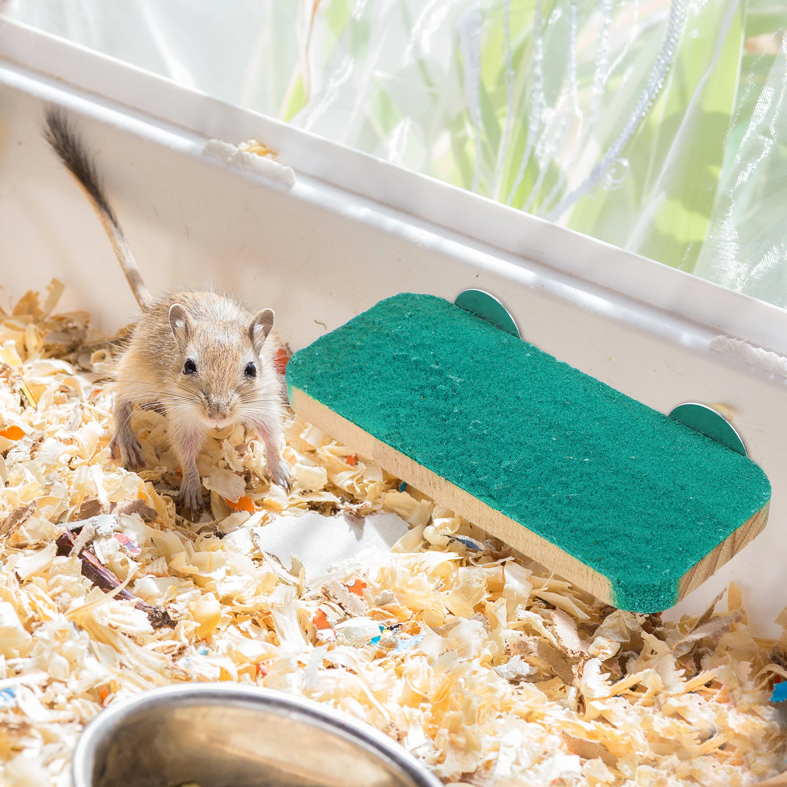 Parrot Wooden Perch Green Toy Hamster Exercise Bird Platform Cage Accessories Cockatiel Playground Small Parrots Pet
Parrot Wooden Perch Green Toy Hamster Exercise Bird Platform Cage Accessories Cockatiel Playground Small Parrots Pet
