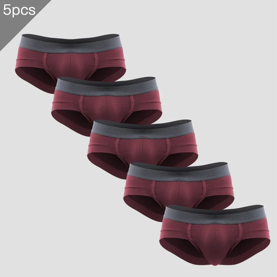 5PCS Men's Modal Low‑Rise Briefs, U‑Pouch Design, Breathable Summer Youth Underwear
5PCS Men's Modal Low‑Rise Briefs, U‑Pouch Design, Breathable Summer Youth Underwear