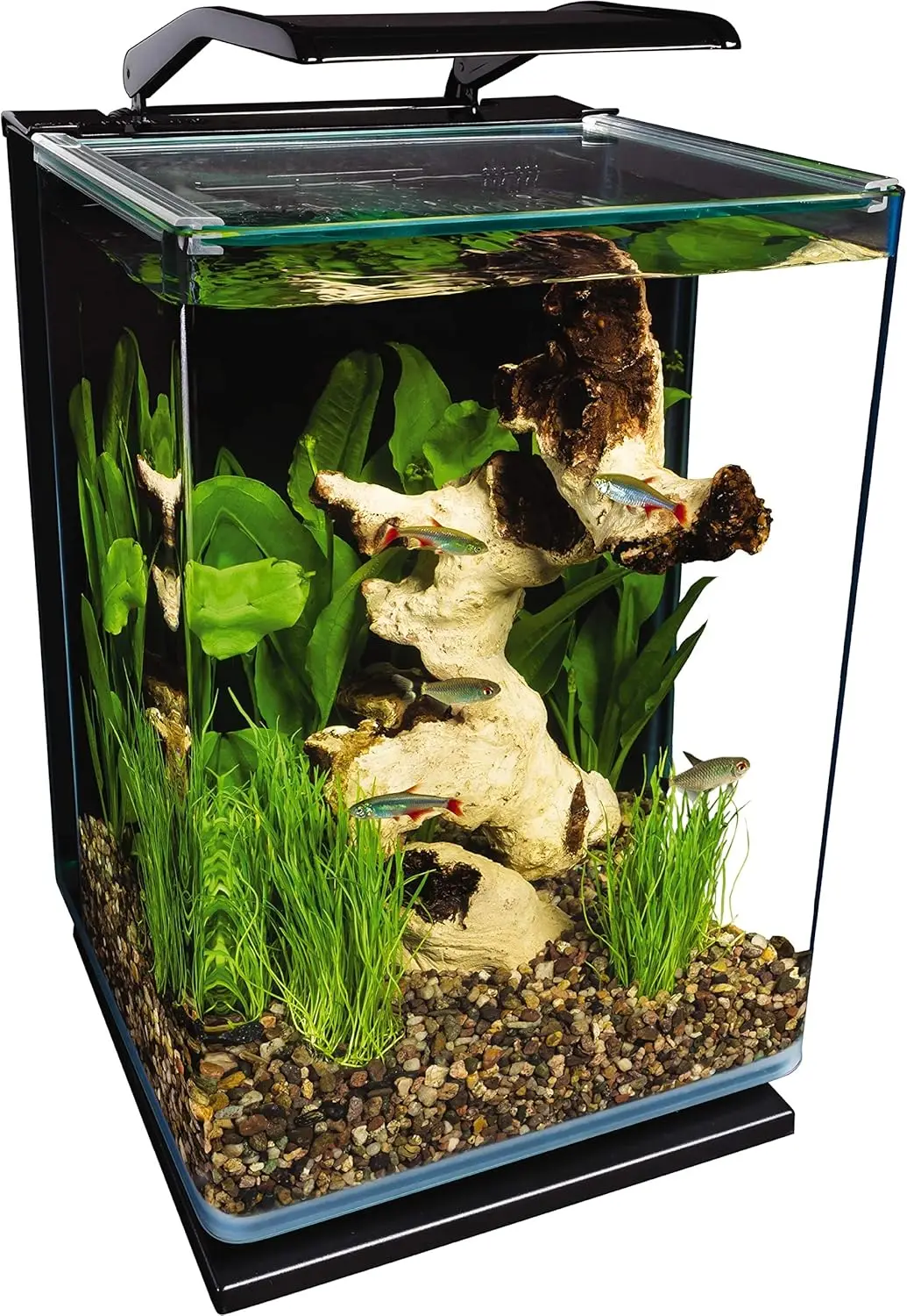 5-Gallon Glass LED Aquarium Kit with Hidden Filtration, Sleek Design and Dual Lighting
5-Gallon Glass LED Aquarium Kit with Hidden Filtration, Sleek Design and Dual Lighting