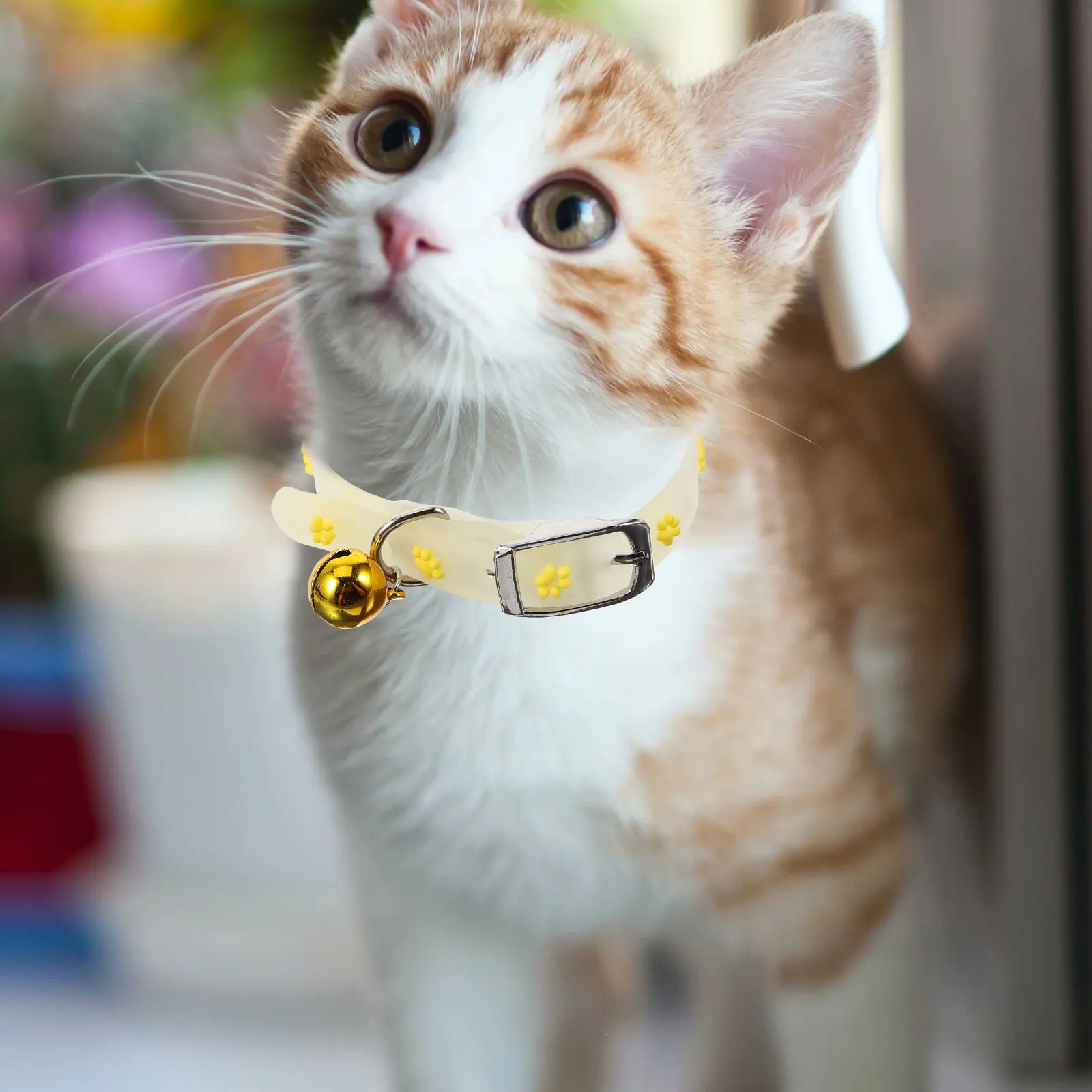 5 Pcs Pet Collar Luminous Silicone Cartoon Heart Fishbone Paw Print Adjustable Glow in Dark Anti Lost Dog Cat Necklace
5 Pcs Pet Collar Luminous Silicone Cartoon Heart Fishbone Paw Print Adjustable Glow in Dark Anti Lost Dog Cat Necklace