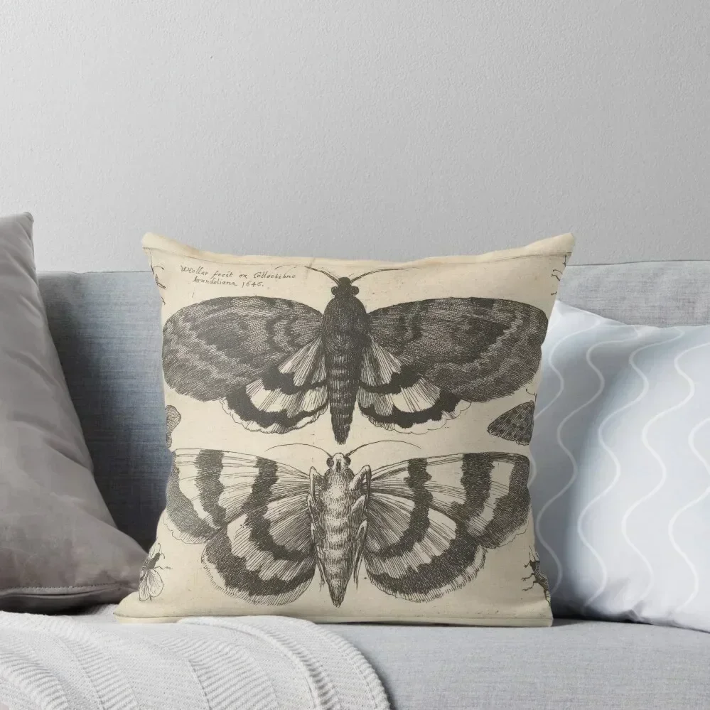 Wenceslaus Hollar - Moths Throw Pillow pillow cover christmas Cushions Cover Embroidered Cushion Cover pillow
Wenceslaus Hollar - Moths Throw Pillow pillow cover christmas Cushions Cover Embroidered Cushion Cover pillow