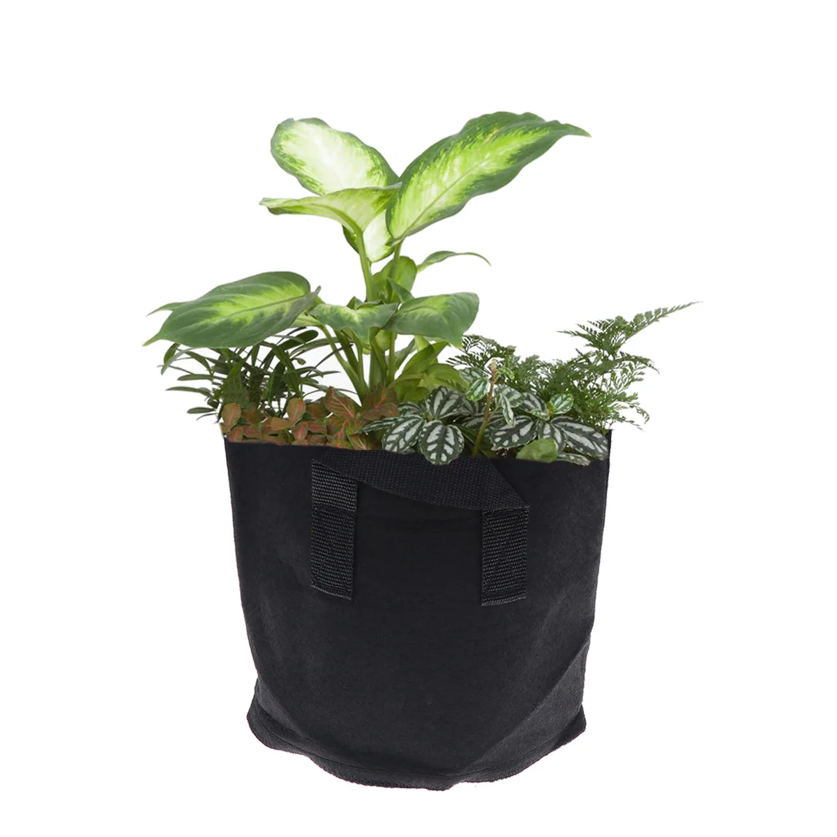 6 pcs Grow Bag Non Woven Fabric Flower Container Plant Pouch Tree Pots Durable Waterproof Gardening Home Courtyard
6 pcs Grow Bag Non Woven Fabric Flower Container Plant Pouch Tree Pots Durable Waterproof Gardening Home Courtyard