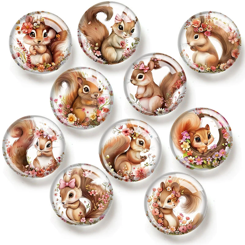 Watercolor Squirrel 12/18/20/25mm glass cabochon bracelet pendant rings for jewelry demo earrings back Making findings
Watercolor Squirrel 12/18/20/25mm glass cabochon bracelet pendant rings for jewelry demo earrings back Making findings
