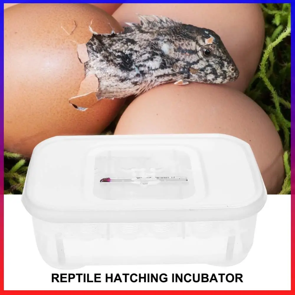 12 Grids Plastic Reptiles Egg Incubator Tray Lizard Snake Eggs Hatcher Box Case Necessary Household Pet Hatching Supplies
12 Grids Plastic Reptiles Egg Incubator Tray Lizard Snake Eggs Hatcher Box Case Necessary Household Pet Hatching Supplies