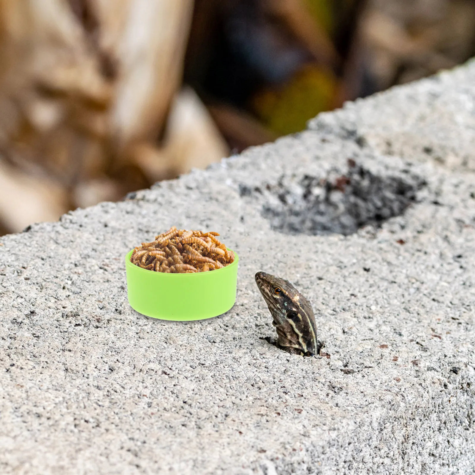 30pcs Reptile Feeding Bowl For Bearded Dragon Gecko Chameleon Hermit Crab Spider Frog Lizard Small Animals Water Food Dish
30pcs Reptile Feeding Bowl For Bearded Dragon Gecko Chameleon Hermit Crab Spider Frog Lizard Small Animals Water Food Dish