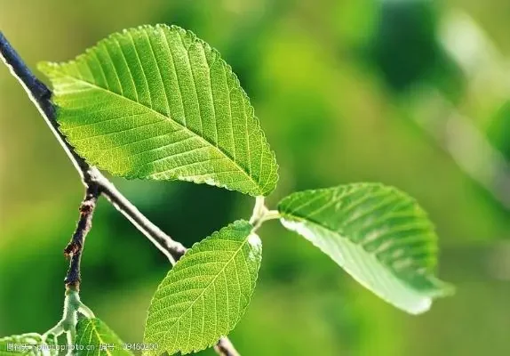 450ml Mix Master Glass Stainless Steel Cocktail Bar Shaker, Mixing Cup With Scale Mixer Bar Shaker Bar Tools
450ml Mix Master Glass Stainless Steel Cocktail Bar Shaker, Mixing Cup With Scale Mixer Bar Shaker Bar Tools