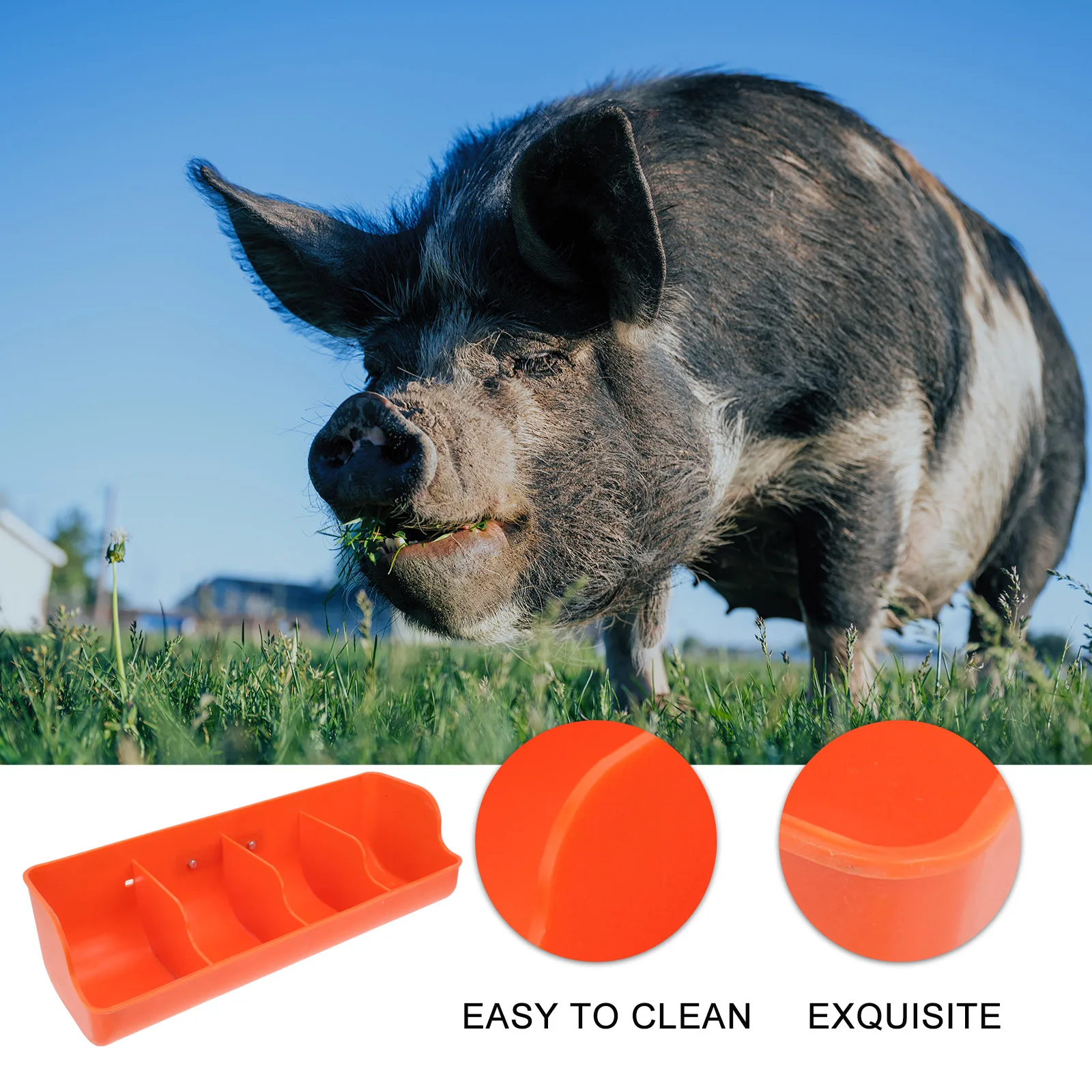 Four Compartments Orange Pig Feeding Trough Durable Plastic Livestock Trough Pannage Feeder For Sow Creep Feeders
Four Compartments Orange Pig Feeding Trough Durable Plastic Livestock Trough Pannage Feeder For Sow Creep Feeders