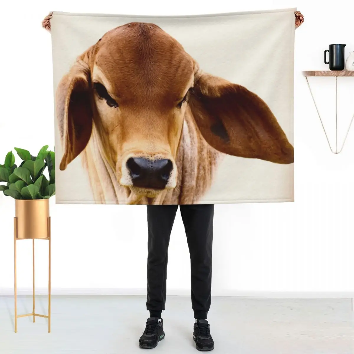 BRAHMAN CALF, PORTRAIT Throw Blanket Fuzzy Plush Throw Blanket for Sofa Chair
BRAHMAN CALF, PORTRAIT Throw Blanket Fuzzy Plush Throw Blanket for Sofa Chair