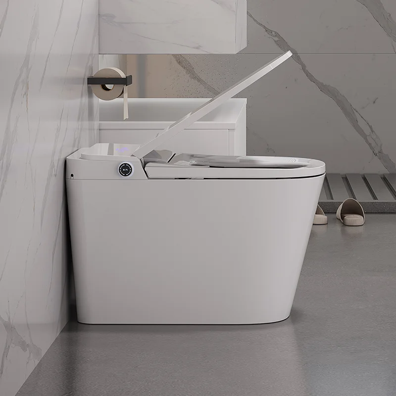 Европейский интеллектуальный туалет-биде, полностью автоматический умный туалет без резервуара для воды
Европейский интеллектуальный туалет-биде, полностью автоматический умный туалет без резервуара для воды