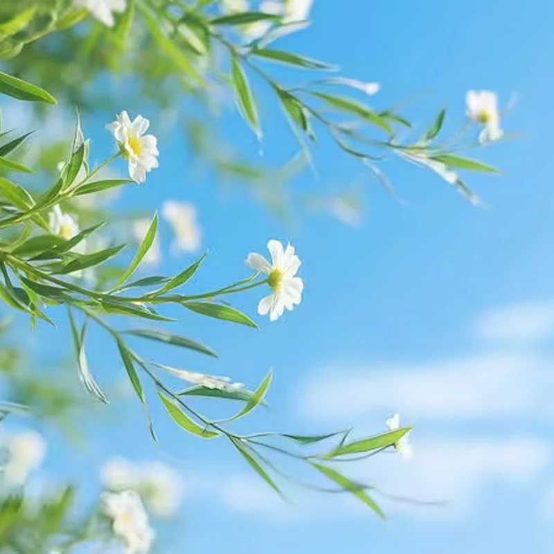 HGLRC 30A 30AMP 3-5S BLHELIS 16.5 BB2 DSHOT600 Brushless ESC for RC FPV Racing Freestyle Drone
HGLRC 30A 30AMP 3-5S BLHELIS 16.5 BB2 DSHOT600 Brushless ESC for RC FPV Racing Freestyle Drone