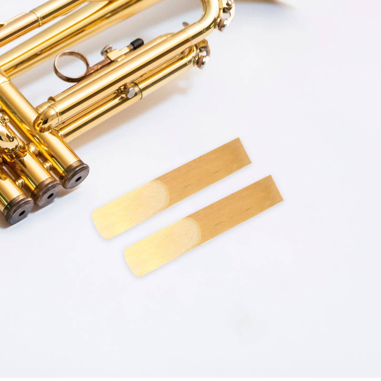 10 Pcs Clarinet Woodwind Instrument Reeds Beginner Accessory for Saxophone Contrabass Replace
10 Pcs Clarinet Woodwind Instrument Reeds Beginner Accessory for Saxophone Contrabass Replace