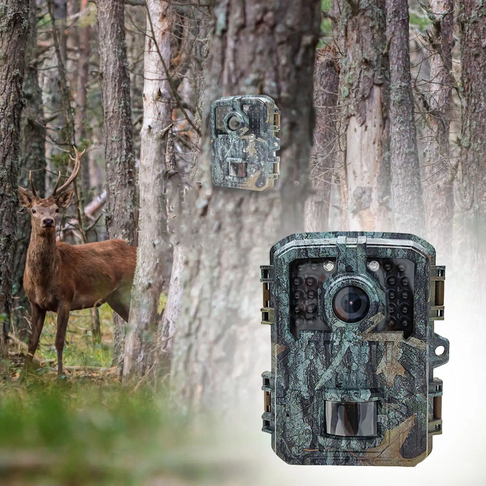 Infrared Trail Camera Box 2 Inch Display Rugged Outdoor Cam Waterproof Surveillance for Camping and Farming
Infrared Trail Camera Box 2 Inch Display Rugged Outdoor Cam Waterproof Surveillance for Camping and Farming