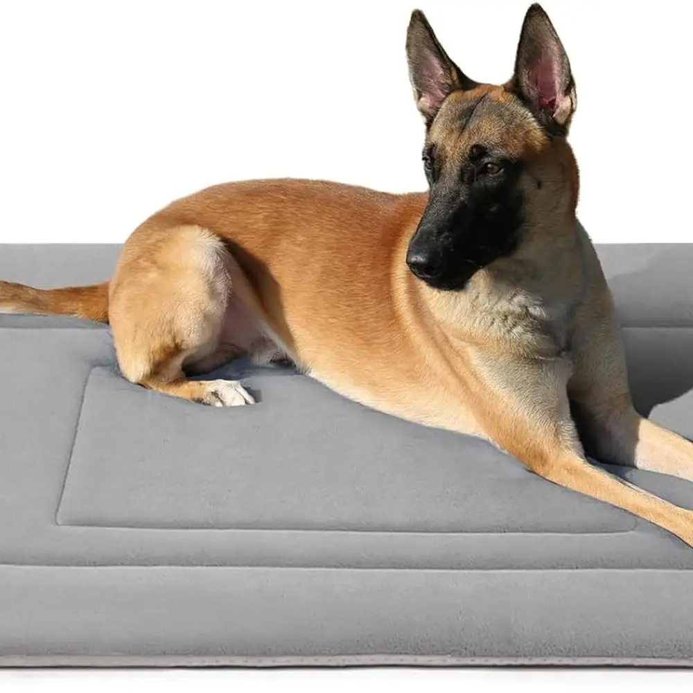 Dog Bed Soft Dog Crate Bed Pad Mat, 42 in Non Slip Bottom Washable Beds for Large Dogs, Pet Bed Mattress Kennel Pad, Clay Gray
Dog Bed Soft Dog Crate Bed Pad Mat, 42 in Non Slip Bottom Washable Beds for Large Dogs, Pet Bed Mattress Kennel Pad, Clay Gray