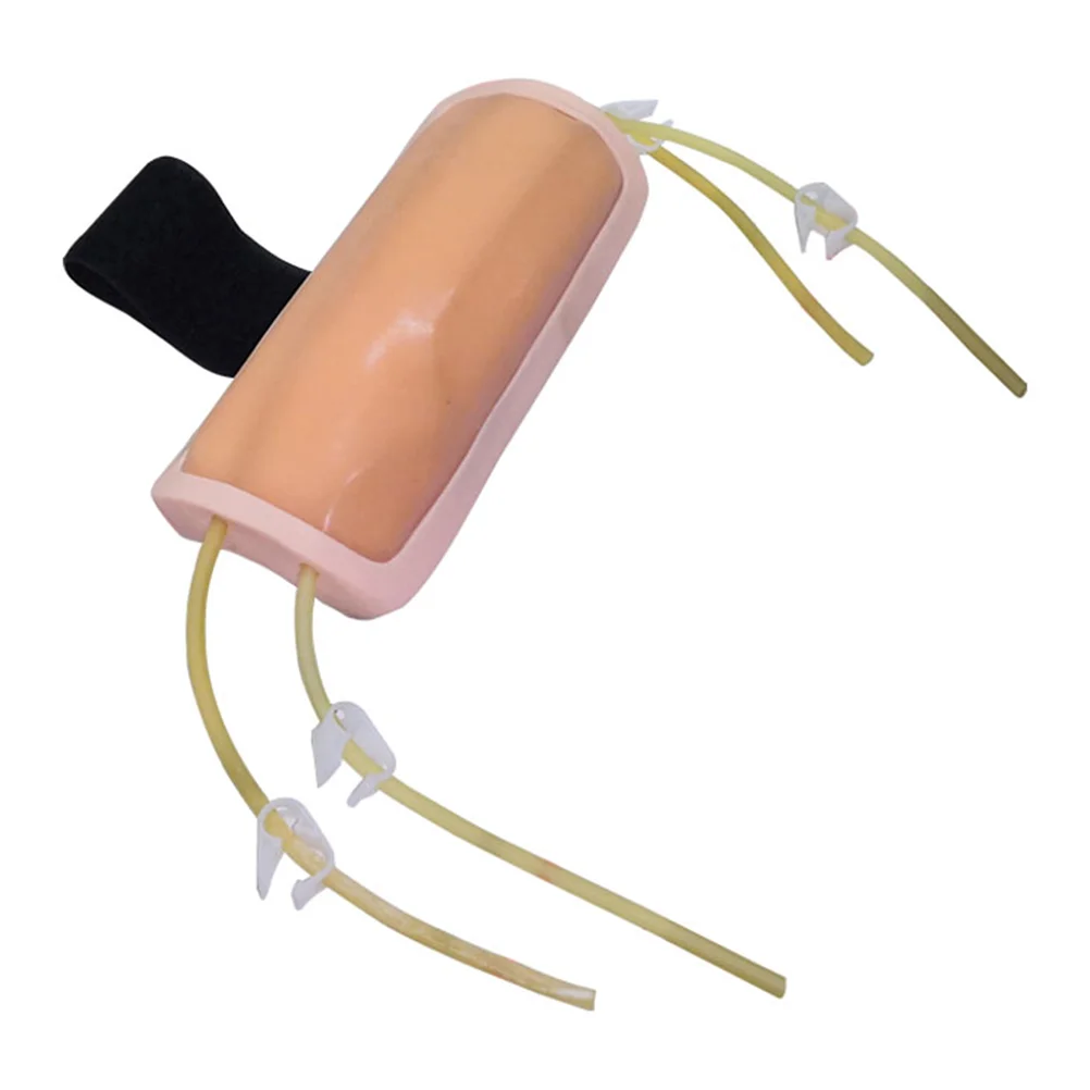 Модель прокола для рисования крови, инъекция Venipuncture для тренировки, набор для Phlebotomy, модели инфузионных ПВХ предплечья
Модель прокола для рисования крови, инъекция Venipuncture для тренировки, набор для Phlebotomy, модели инфузионных ПВХ предплечья