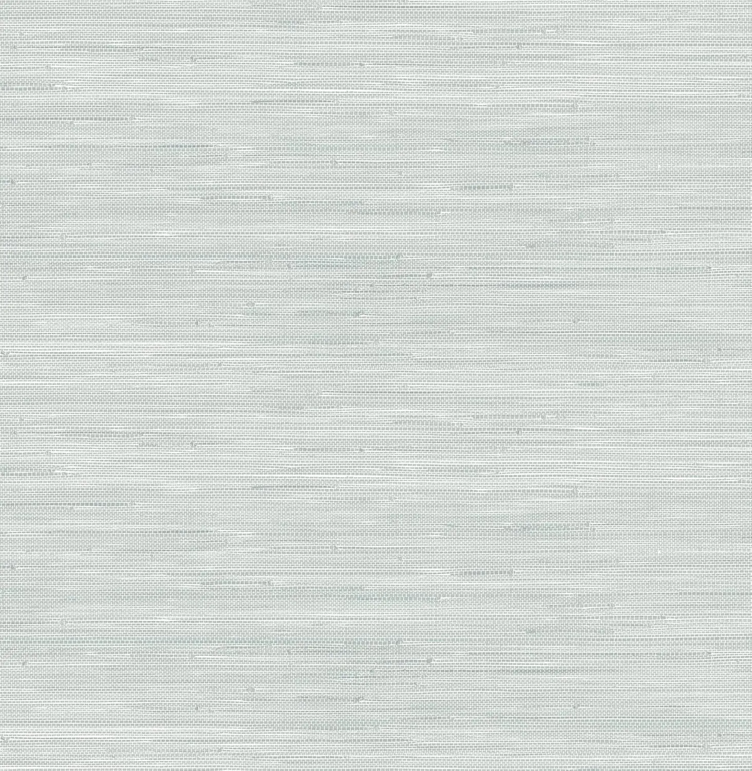 NuWallpaper x Social Social Whisper Blue Classic Faux Grasscloth Peel & Stick Wallpaper
NuWallpaper x Social Social Whisper Blue Classic Faux Grasscloth Peel & Stick Wallpaper