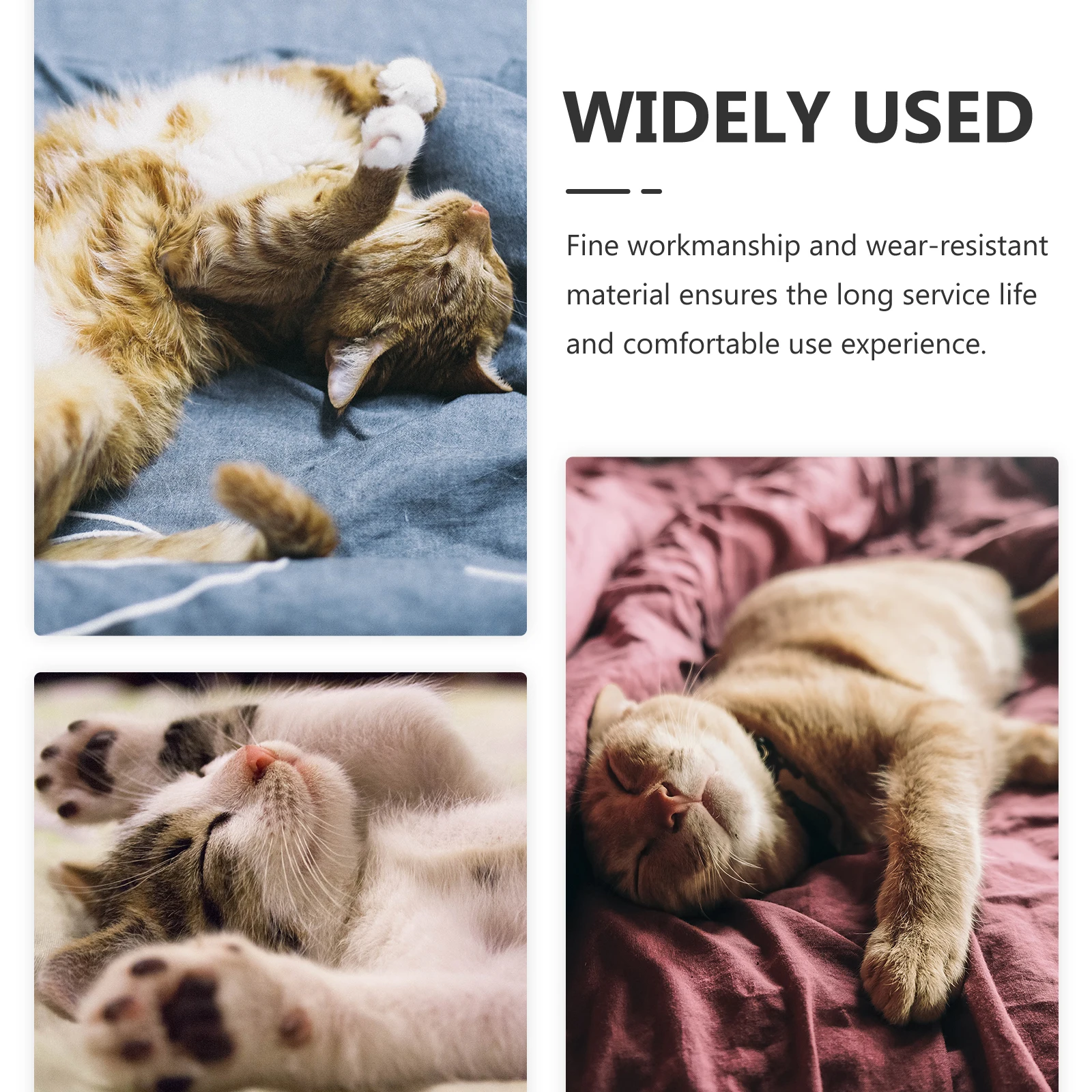 Cat Pillow U-shaped Small Cats Shaped Cushion for Nap Cute Pillows Pet Comfortable Easy Cleaning Wear-resistant 
Cat Pillow U-shaped Small Cats Shaped Cushion for Nap Cute Pillows Pet Comfortable Easy Cleaning Wear-resistant