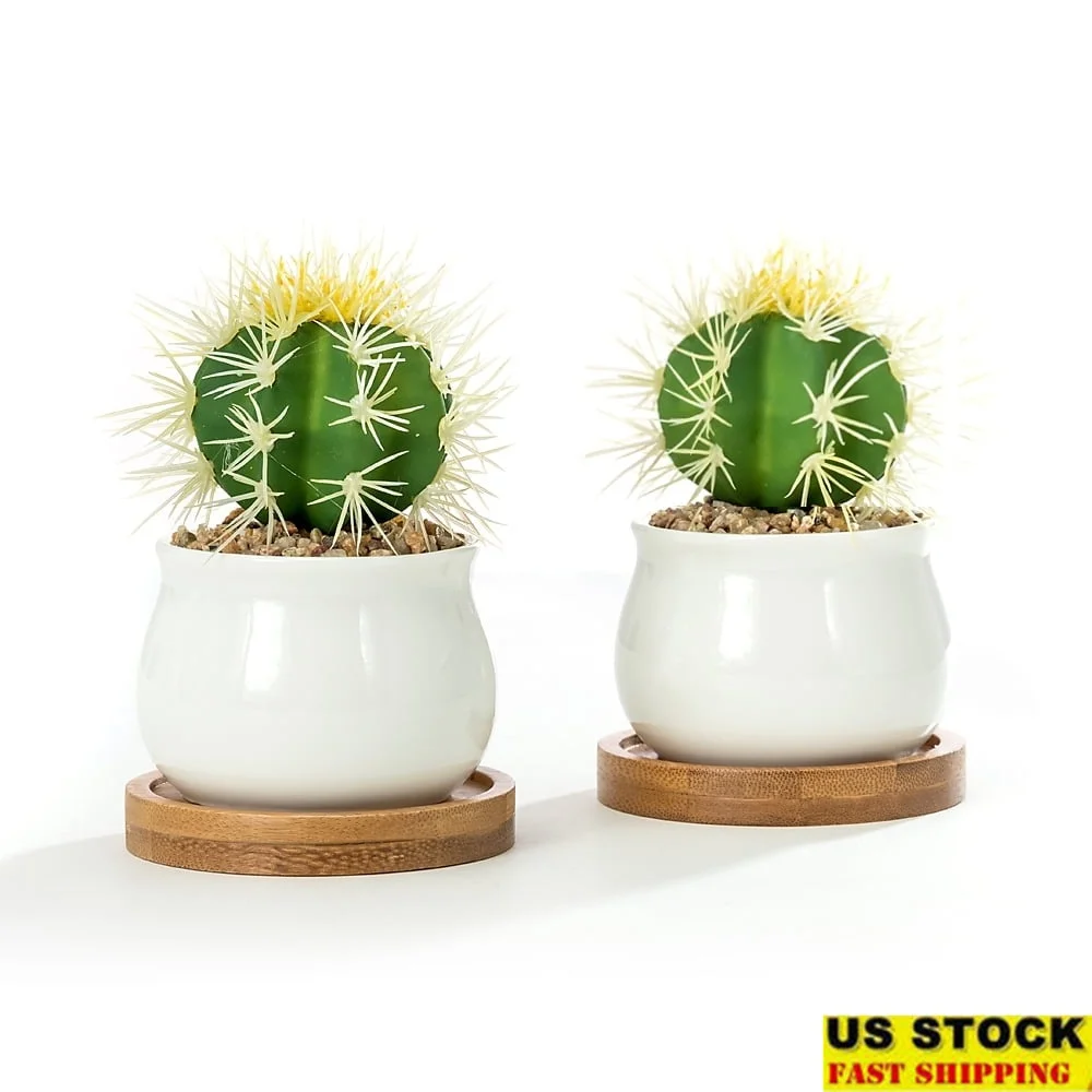 White Ceramic Pots with Bamboo Tray Set of 2 Jar Shape Planters with Drainage Ideal Succulents Herbs Flowers Home Decor
White Ceramic Pots with Bamboo Tray Set of 2 Jar Shape Planters with Drainage Ideal Succulents Herbs Flowers Home Decor
