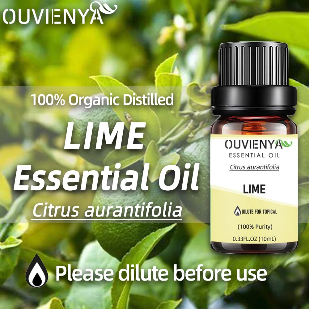 100% Organic Lime essential oil extraction from Citrus aurantifolia effect for health sign treat infections and Reduce pain and
100% Organic Lime essential oil extraction from Citrus aurantifolia effect for health sign treat infections and Reduce pain and