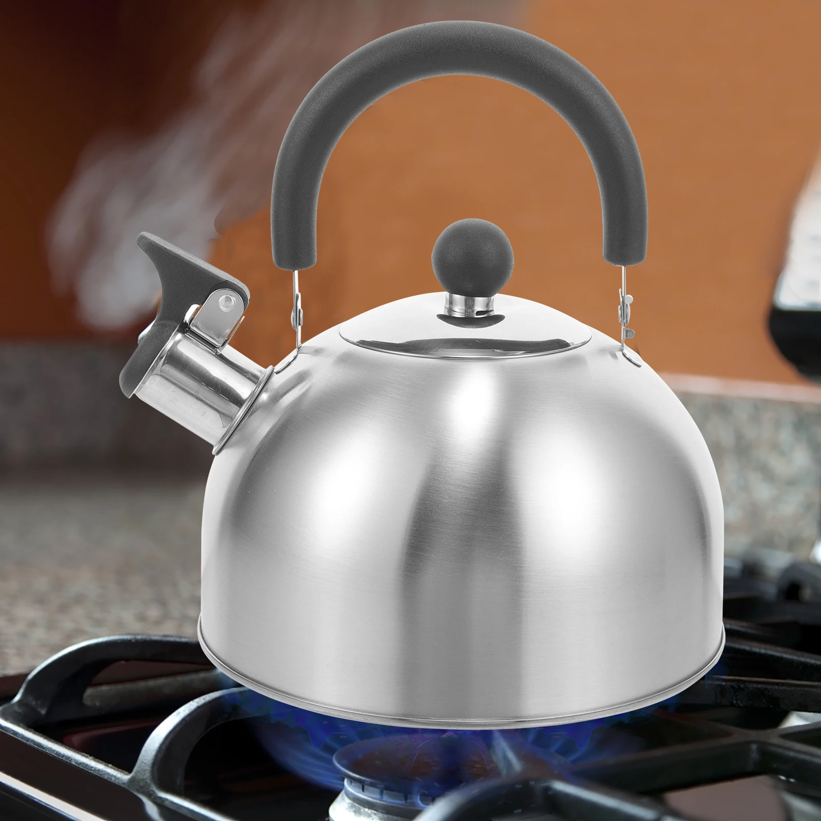 Stainless Steel Whistling Kettle 2 5L Anti Scald H Stovetop Tea Pot Vintage Water Boiler Household Jug Easy Clean
Stainless Steel Whistling Kettle 2 5L Anti Scald H Stovetop Tea Pot Vintage Water Boiler Household Jug Easy Clean