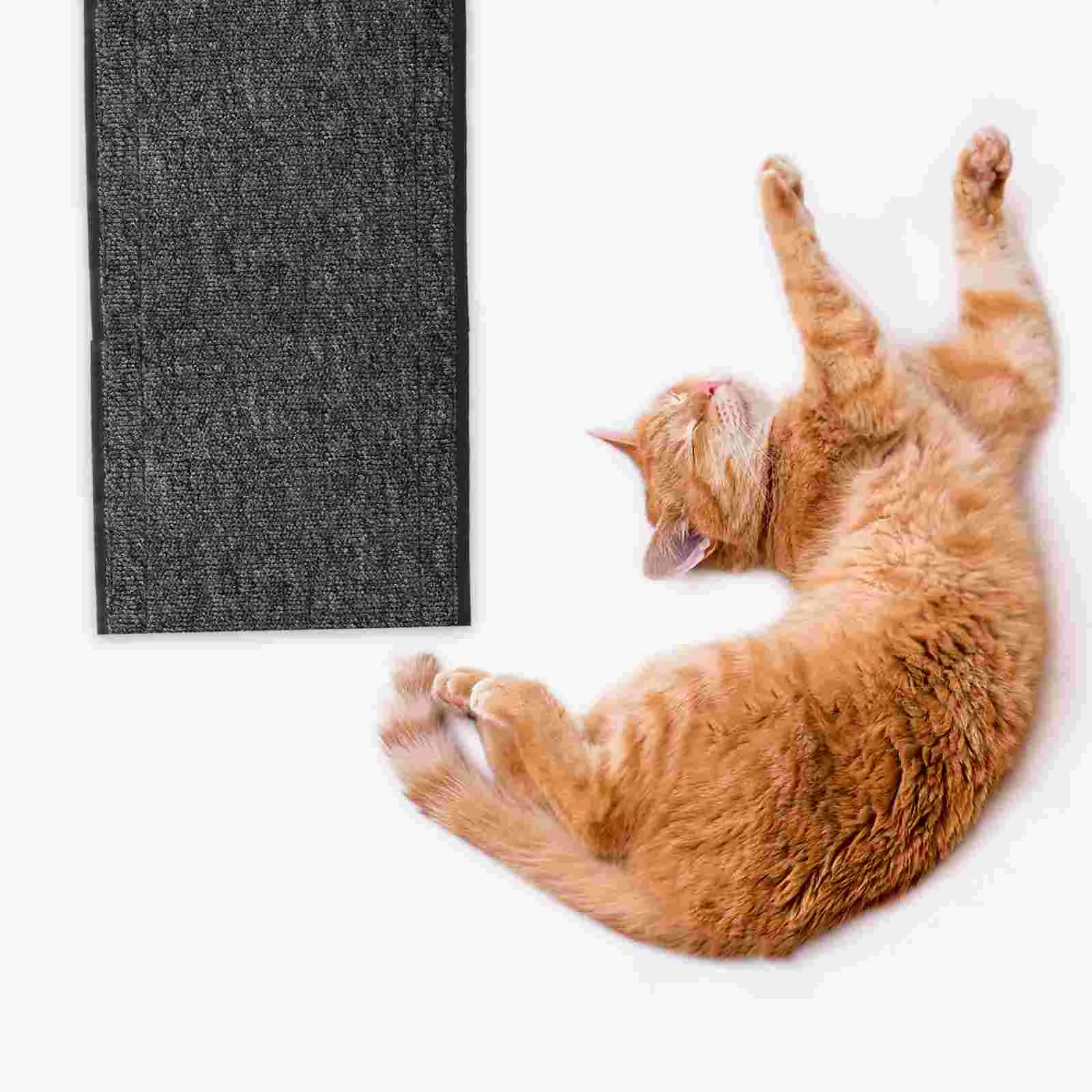 Replace Mat Plush Pad Cat Exercise Wheel Scratching Carpet Kitten Scratch Pad Fits All Sizes Easy Installation Enhanced Fun
Replace Mat Plush Pad Cat Exercise Wheel Scratching Carpet Kitten Scratch Pad Fits All Sizes Easy Installation Enhanced Fun