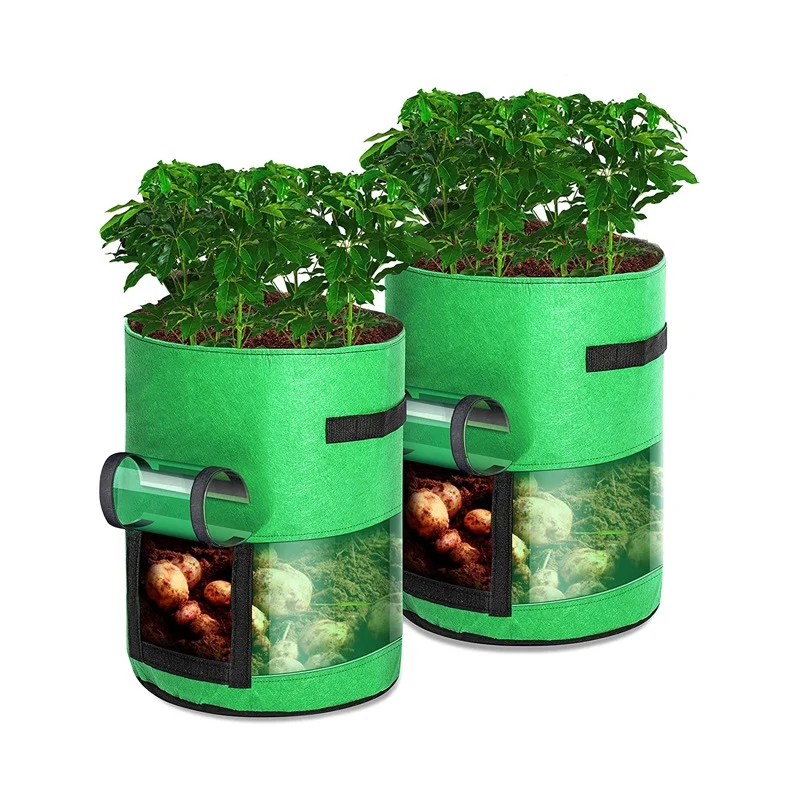 Transparent potato planting bag Balcony vegetable growing pot Breathable beauty planting bag bucket
Transparent potato planting bag Balcony vegetable growing pot Breathable beauty planting bag bucket