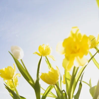 Wheels and Tires 2.8in for 1/7 Desert Short Course Truck UDR Traxxas Off-road Buggy RC Car
Wheels and Tires 2.8in for 1/7 Desert Short Course Truck UDR Traxxas Off-road Buggy RC Car