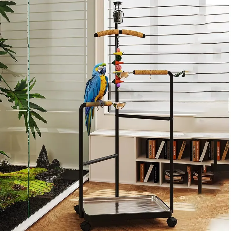 Medium Large Stainless Steel Bird Stand with Button Closure Movable Floor Support and Washable Tray for Parrot Breeding Cage
Medium Large Stainless Steel Bird Stand with Button Closure Movable Floor Support and Washable Tray for Parrot Breeding Cage