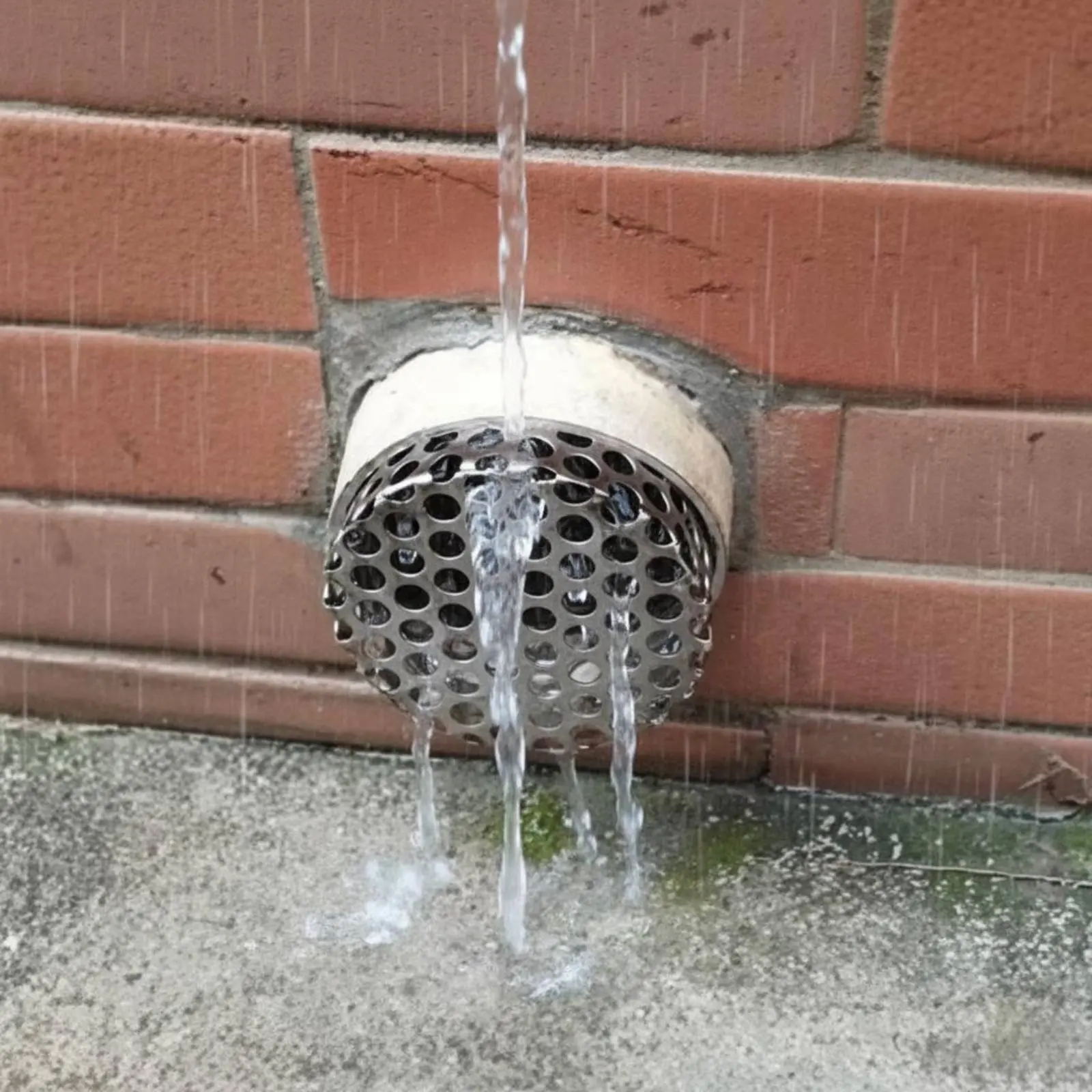 Floor Drain Strainer Insert Protective Stainless Steel Pipe Cap Strainer Insert Drain Protector Quick Drainage Plumbing Fitting
Floor Drain Strainer Insert Protective Stainless Steel Pipe Cap Strainer Insert Drain Protector Quick Drainage Plumbing Fitting